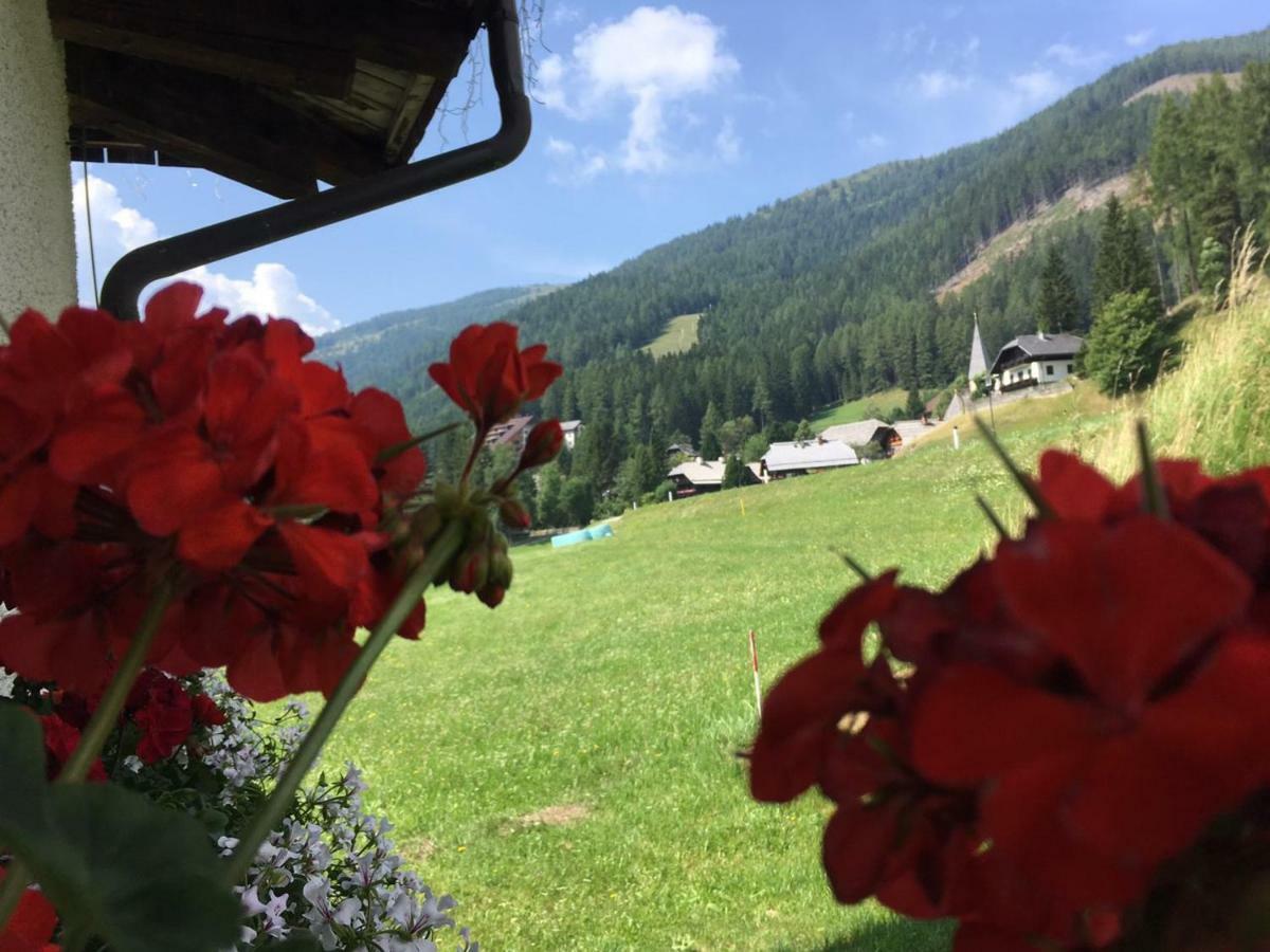 Homestay Nockalm *