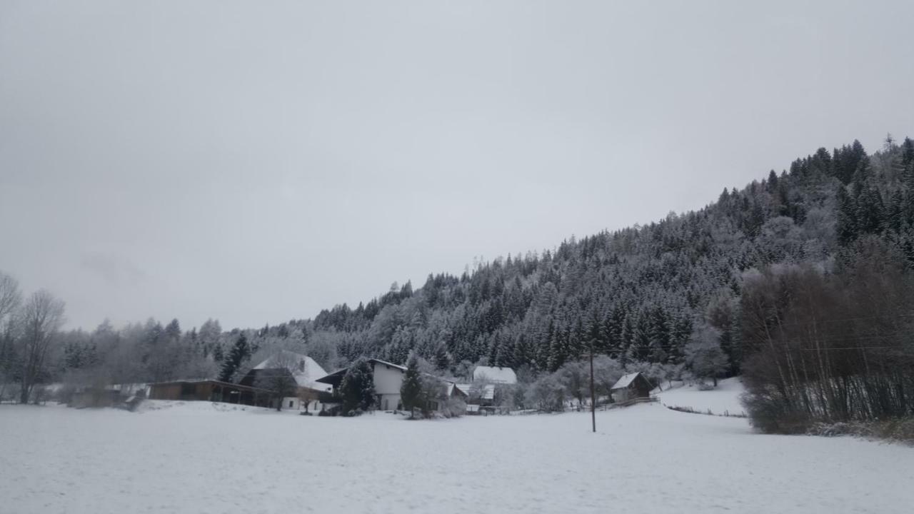 Homestay Nockalm *